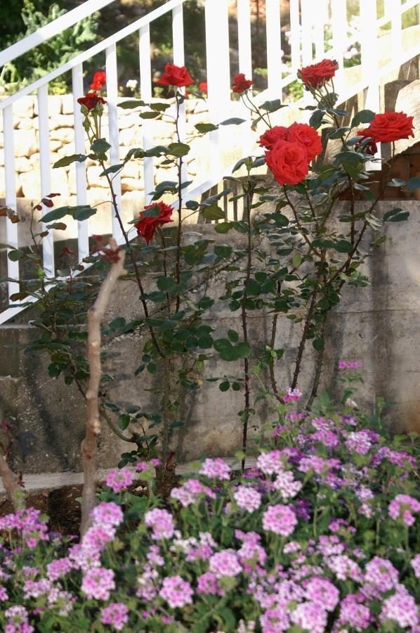 Apartment By The Sea - Perna, Peljesac - 4544